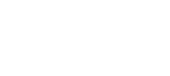 New Functional Nutraceutics